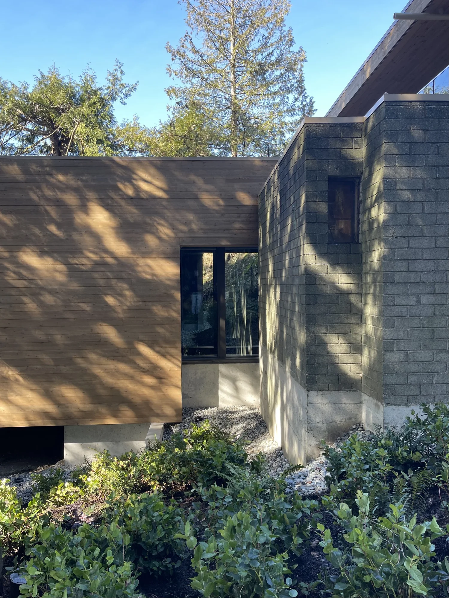 Cedar and concrete-block facade among the ferns